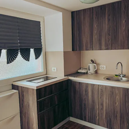 Apartments Ivanovic Idrija Exterior photo