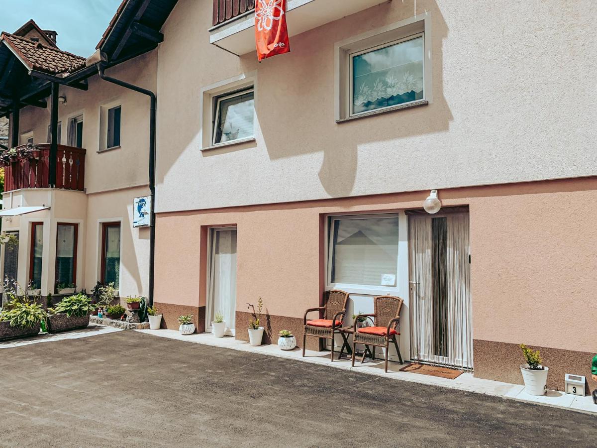 Appartement Ivanovic Idrija